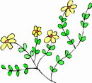 花朵鲜花_628eps,ai矢量模版下载