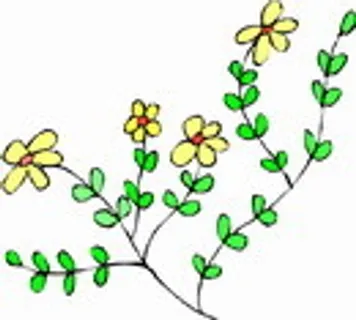 花朵鲜花_628 花朵鲜花_628