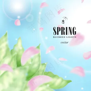 春季光晕与花瓣 春季光晕与花瓣