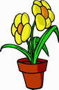 花朵鲜花_509eps,ai矢量模版下载