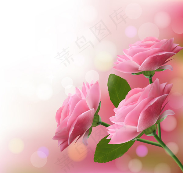 梦幻粉色玫瑰花eps,ai矢量模版下载