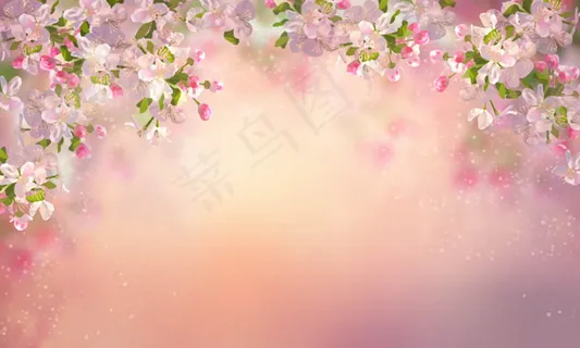 虚化唯美花朵背景