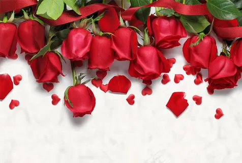 七夕玫瑰花瓣背景