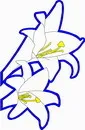 花朵鲜花_883eps,ai矢量模版下载