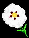 花朵鲜花_1009eps,ai矢量模版下载