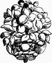 花朵鲜花_1058eps,ai矢量模版下载