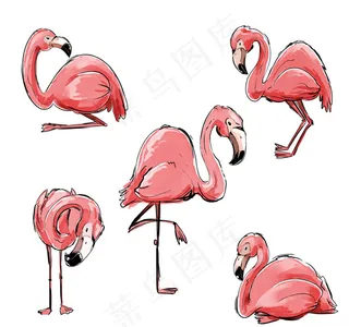 手绘粉色火烈鸟