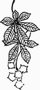 花朵鲜花_1146eps,ai矢量模版下载