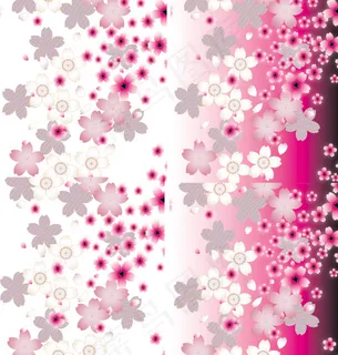 矢量樱花底纹 矢量樱花底纹