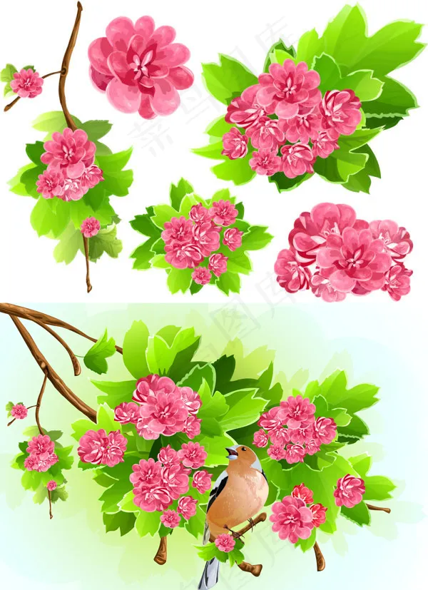 鲜花背景矢量,背景元素eps,ai矢量模版下载