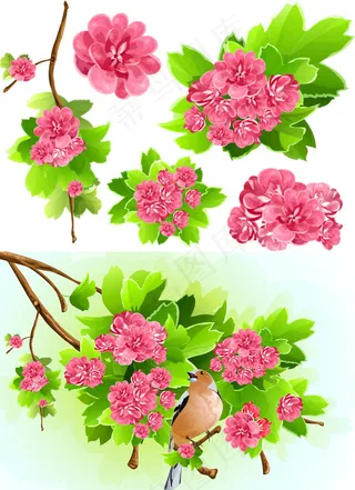 鲜花背景矢量,背景元素