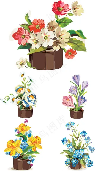 美丽盆栽花朵
