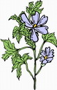 花朵鲜花_118eps,ai矢量模版下载