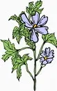 花朵鲜花_118eps,ai矢量模版下载