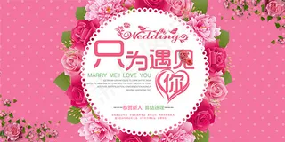 只为遇见你海报