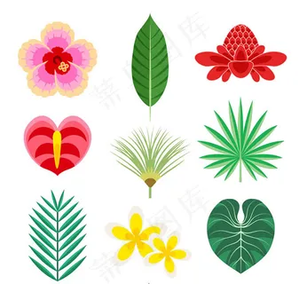 热带花卉和叶子 热带花卉和叶子
