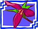 花朵鲜花_977eps,ai矢量模版下载