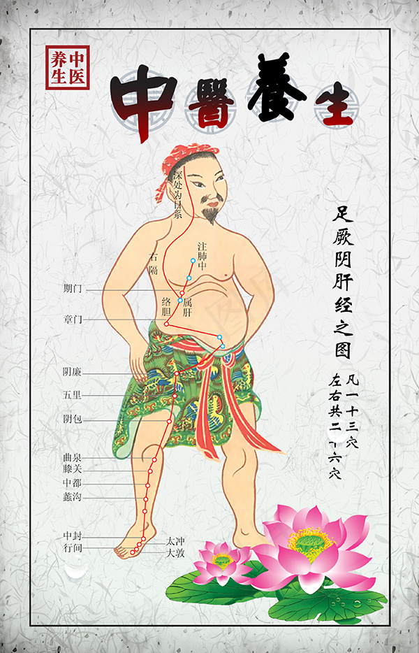 足厥阴肝经穴位psd模版下载