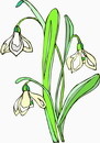 花朵鲜花_403eps,ai矢量模版下载