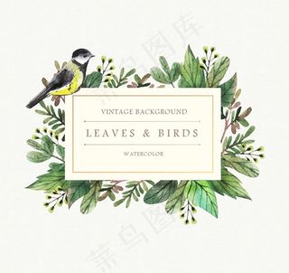 水彩绘花卉与鸟