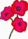 花朵鲜花_188eps,ai矢量模版下载