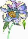 花朵鲜花_264eps,ai矢量模版下载
