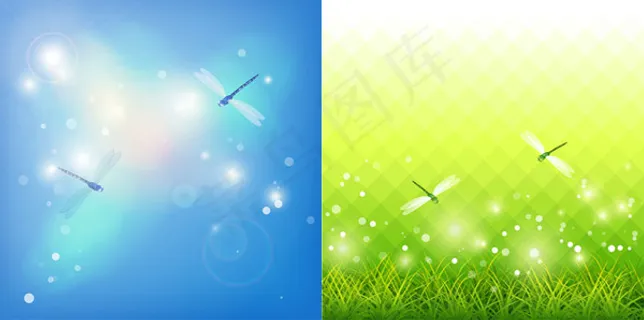 蜻蜓梦幻背景 蜻蜓梦幻背景