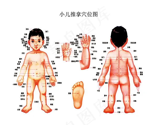 小儿推拿全身穴位psd模版下载