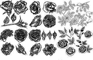 黑白手绘风花朵,背景元素