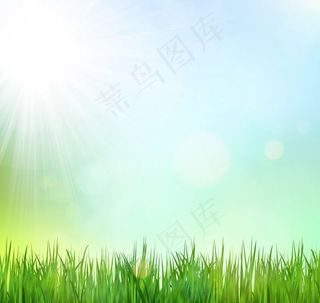 绿草地背景矢量