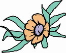 花朵鲜花_547eps,ai矢量模版下载