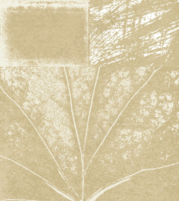肌理效果背景eps,ai矢量模版下载