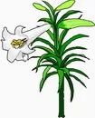 花朵鲜花_327eps,ai矢量模版下载