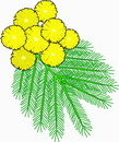 花朵鲜花_196eps,ai矢量模版下载