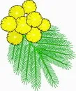 花朵鲜花_196eps,ai矢量模版下载