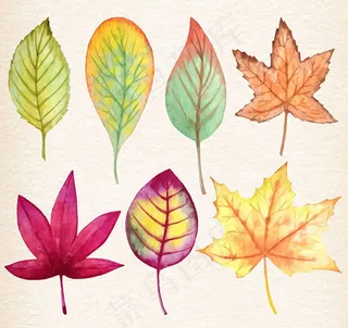 水彩秋天落叶树叶