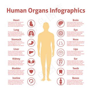 人体器官图标注释,免抠元素
