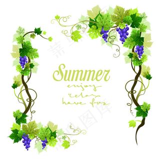夏季葡萄藤边框