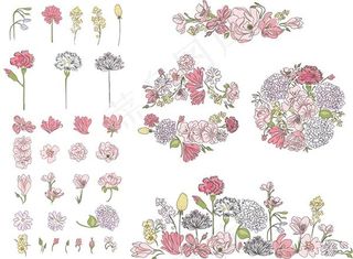 手绘康乃馨花朵