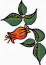 花朵鲜花_338eps,ai矢量模版下载
