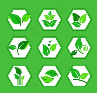 绿叶图标矢量,免抠元素