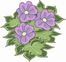 花朵鲜花_161eps,ai矢量模版下载