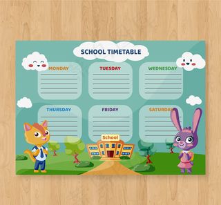 猫咪和兔子课程表