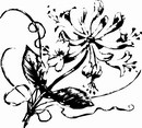 花朵鲜花_1115eps,ai矢量模版下载