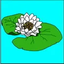 花朵鲜花_1014eps,ai矢量模版下载