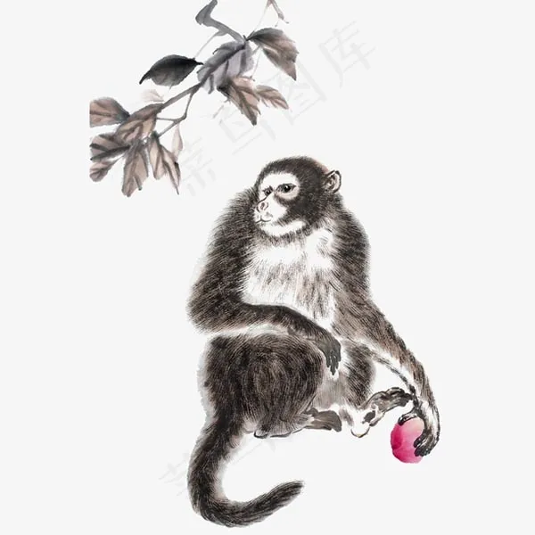 中国风水墨猴子
