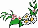 花朵鲜花_229eps,ai矢量模版下载