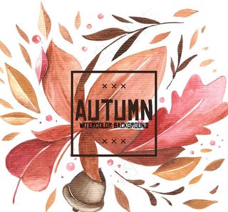 水彩绘秋季落叶