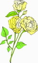 花朵鲜花_200eps,ai矢量模版下载