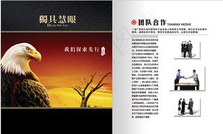 团队合作画册PSD